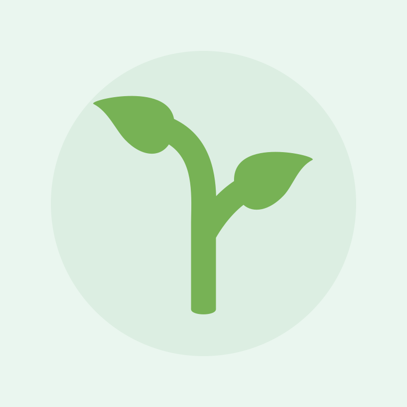 Seed