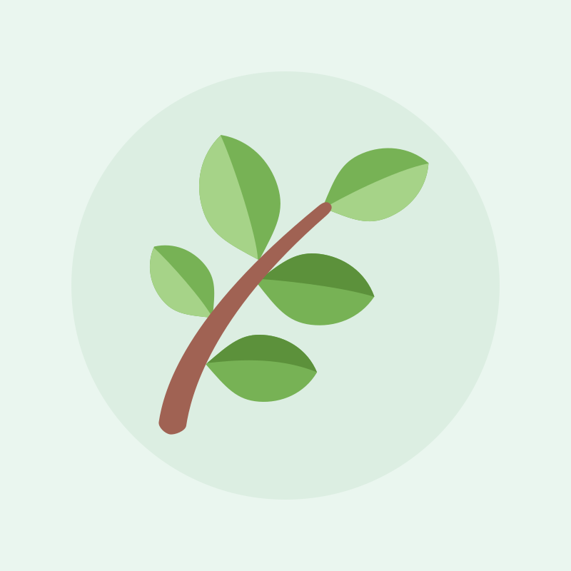 Sprout